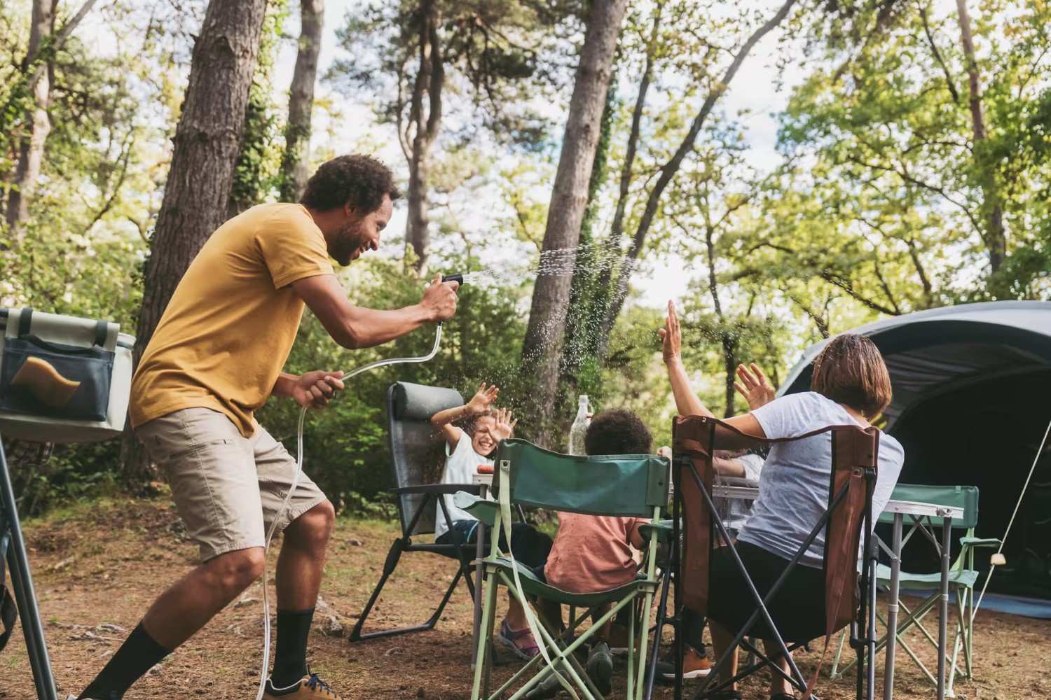 New Forest National Park, UK